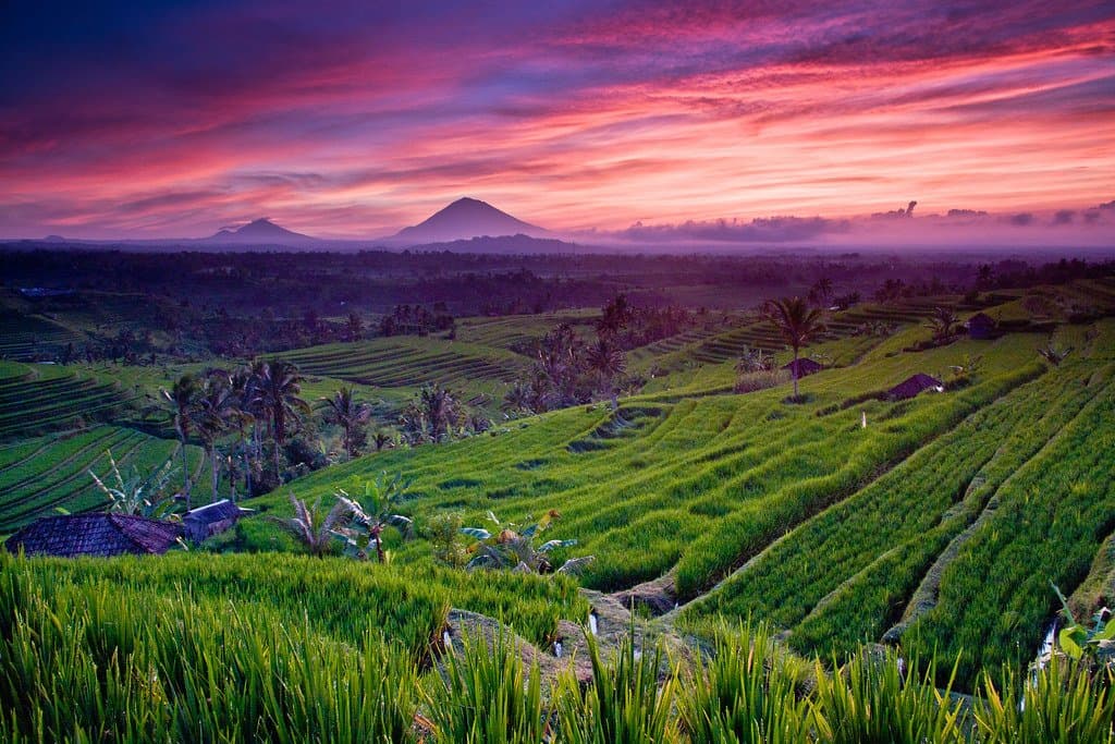 foto bagus